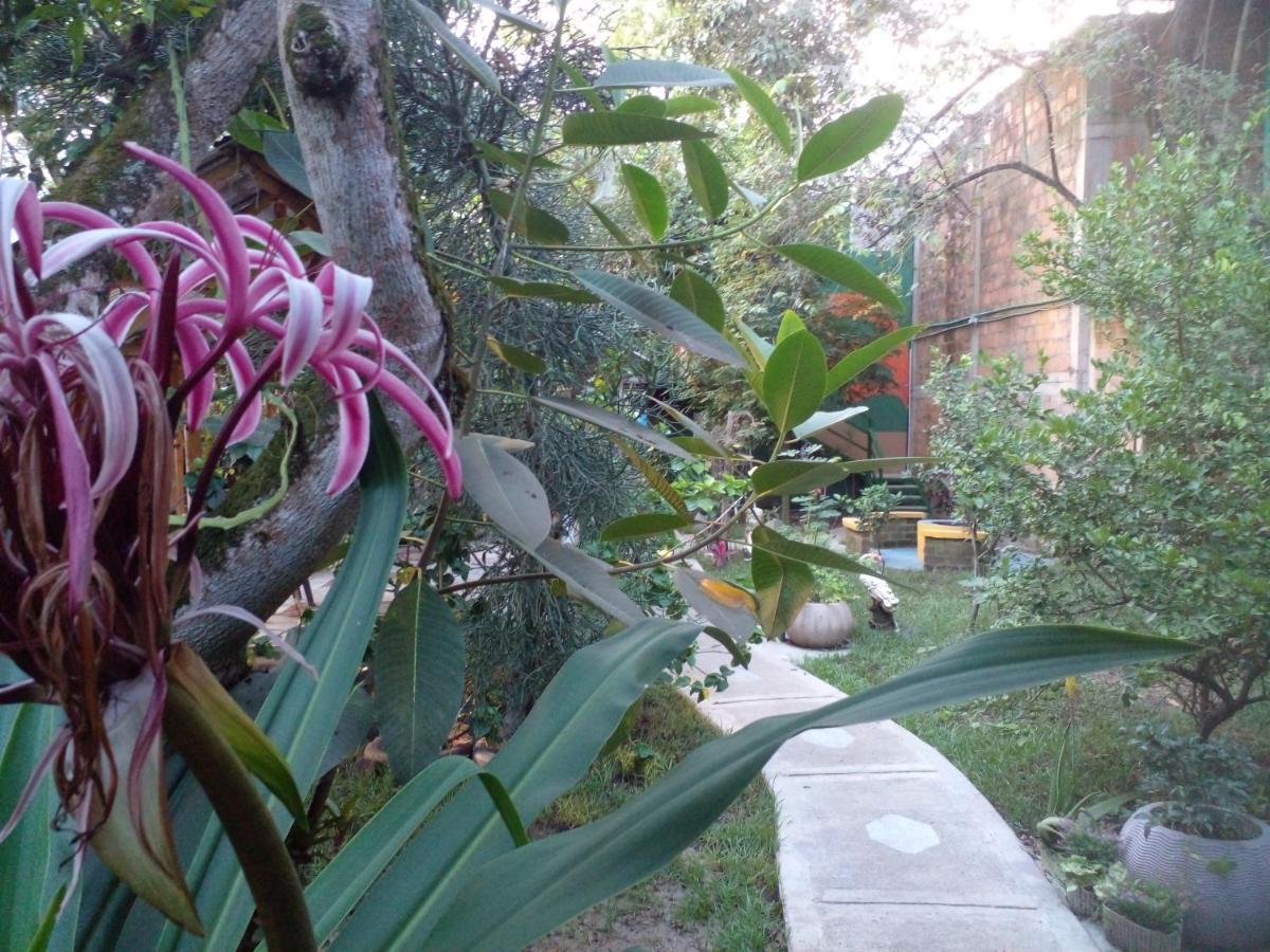 Montecarlos Hotel Ibagué Exteriér fotografie
